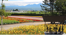 花畑も山並みも