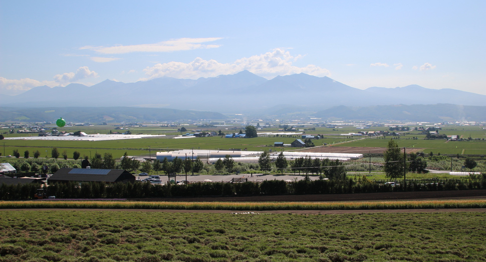 彩りの畑と十勝岳連峰　花はありませんが雄大な景色は変わりません