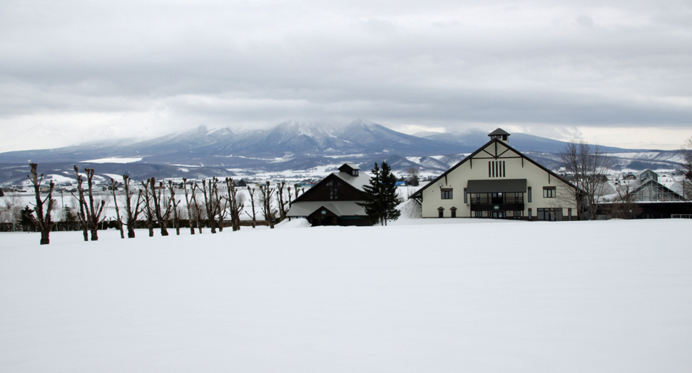 冬の風景 3 8 ファーム日誌 花畑の紹介 北海道のラベンダー畑 ファーム富田 オフィシャルサイト