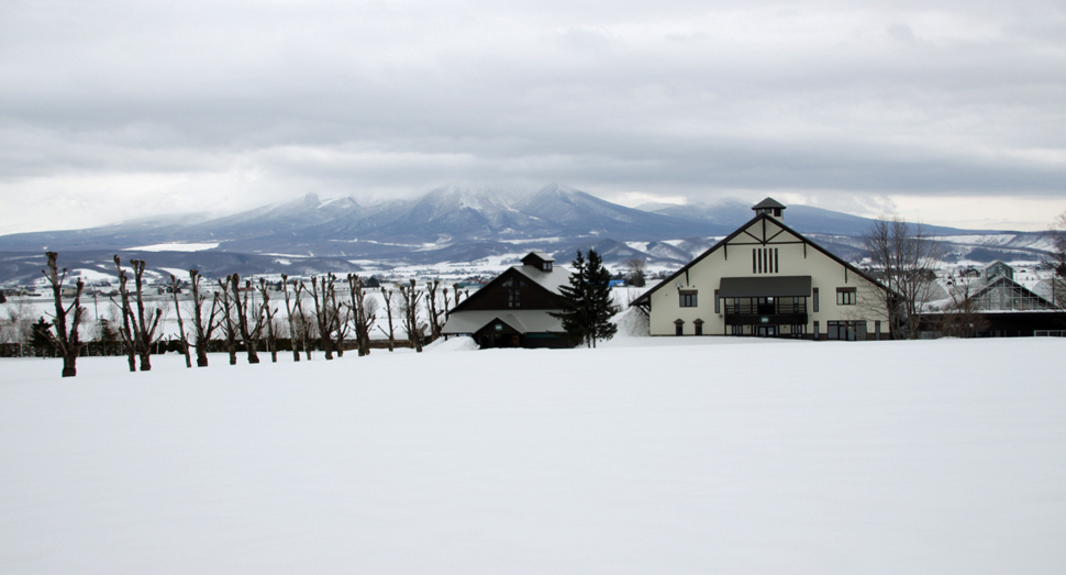 3月になってもまだまだ雪深い富良野