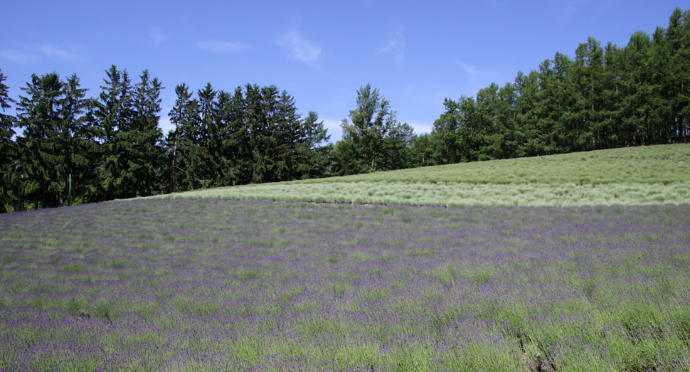 2009年「北海道ラベンダー」・2005年「北海道オコジョ」根付セット