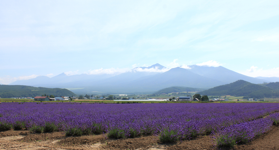 少し雲がかかった山も素敵です