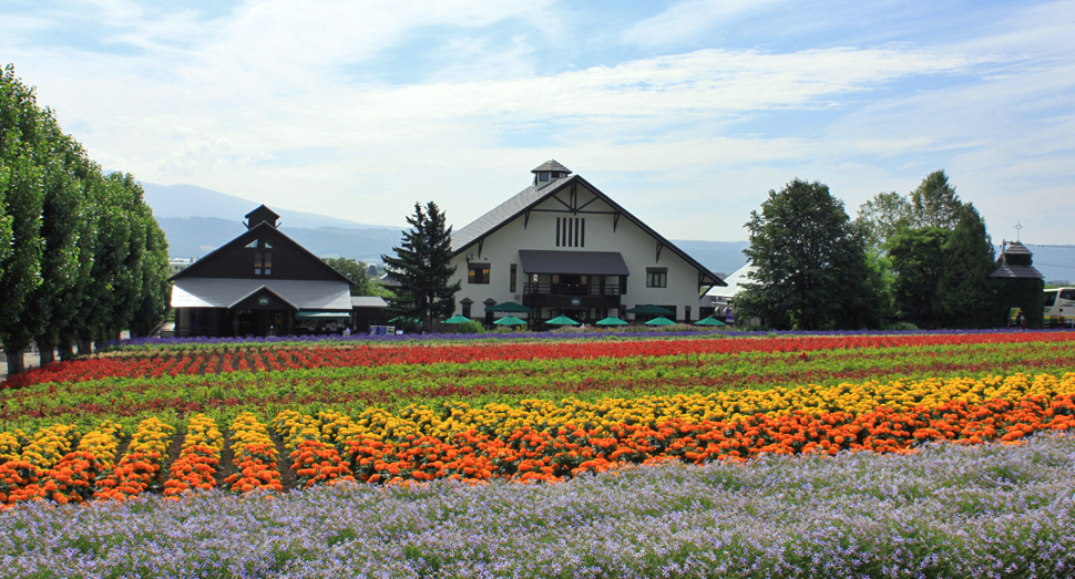 花人の畑では様々な花色のコントラストが楽しめます