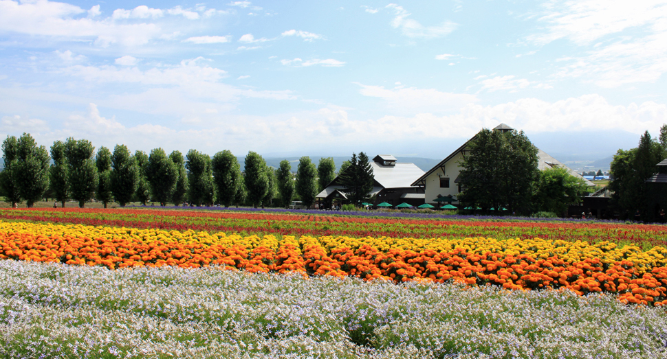 花人の舎の向こうにうっすらと見える十勝岳連峰