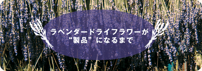 ラベンダードライフラワーが製品になるまで