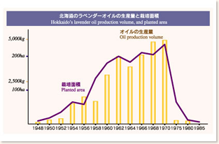 北海道のラベンダーオイルの生産量